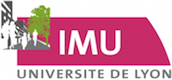 IMU